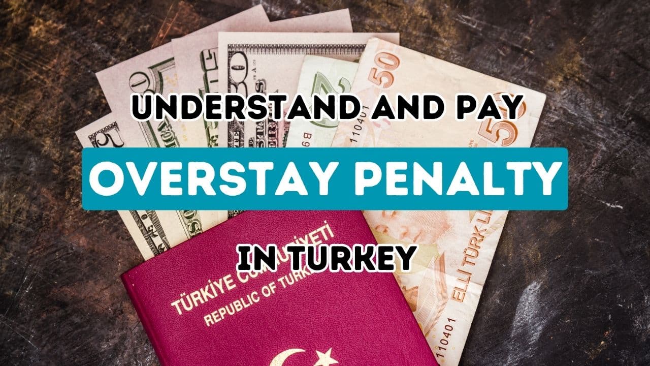 Türkiye’de Gecikmiş Vize Cezalarının İncelenmesi ve Çözümlenmesi