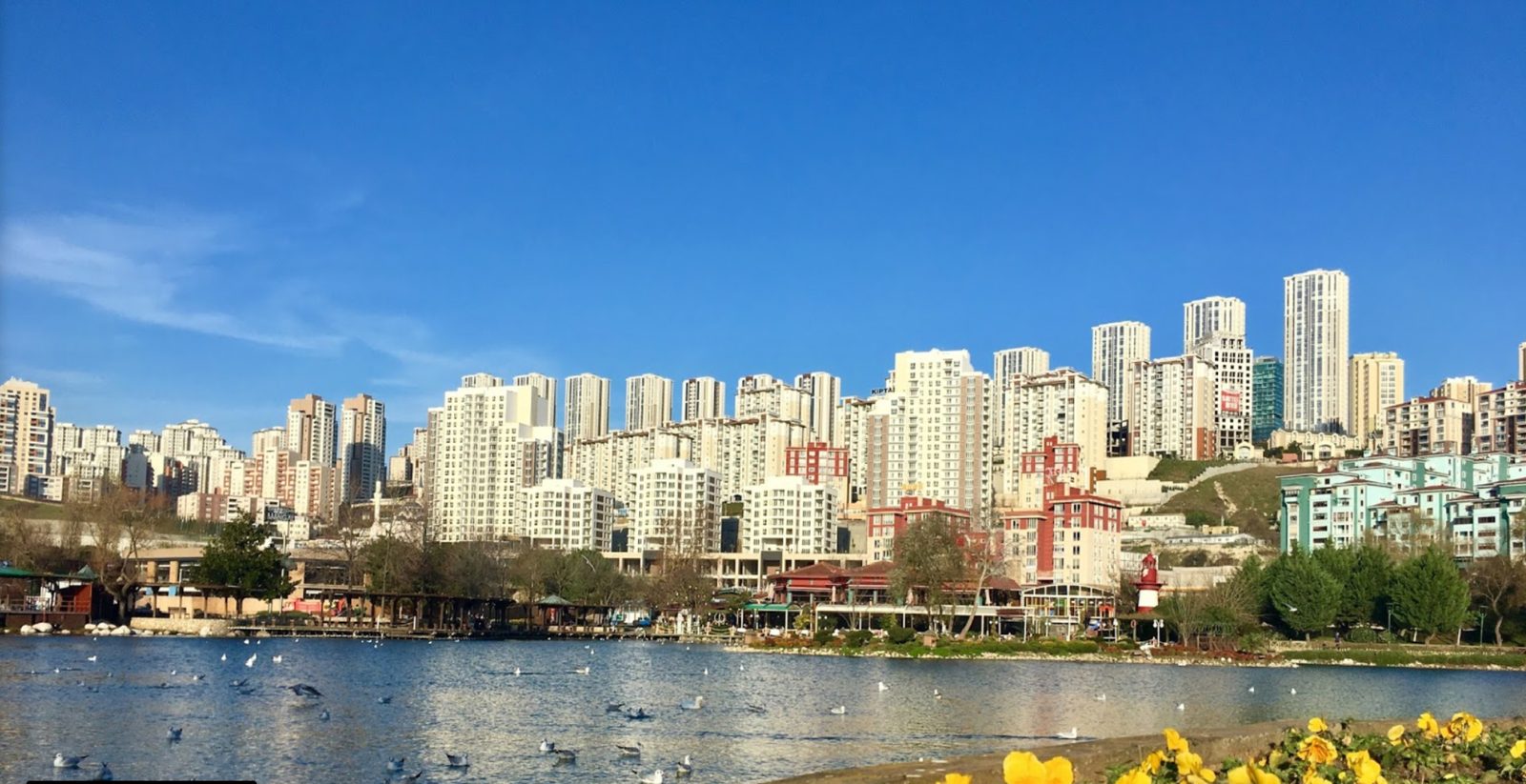 Buying Property in Başakşehir, Istanbul: Area Guide