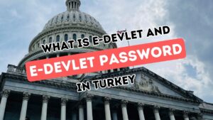 Navigating Turkey’s e-Government Services: Your Comprehensive Manual